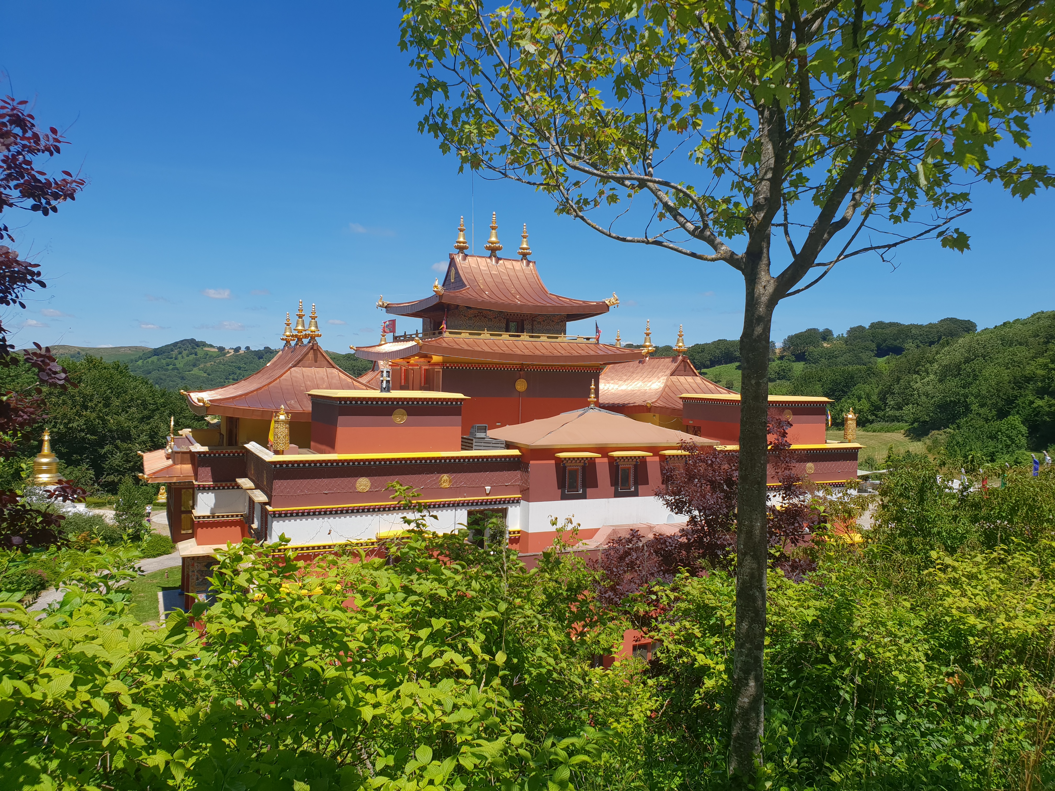 Photo n° 15 de l'avis de claire.I fait le 06/07/2020 à 04:50