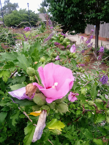 Public Swimming Pool «Tropicanoe Cove», reviews and photos, 1915 Scott St, Lafayette, IN 47904, USA