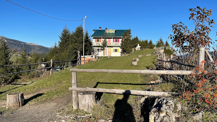 Kayaüstü Nayino Dağ Evi