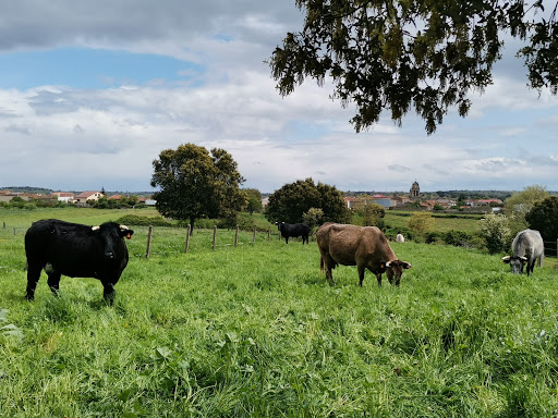 Foto de Encinasola de los Comendadores en Fuenteliante, Salamanca