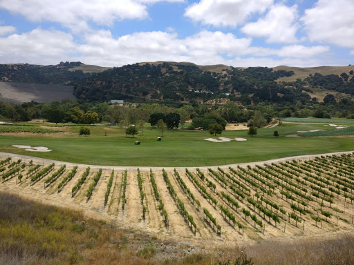 Winery «Wente Vineyards», reviews and photos, 5565 Tesla Rd, Livermore, CA 94550, USA