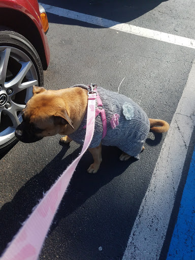 Pet Supply Store «PetSmart», reviews and photos, 1800 Evans Rd, Melbourne, FL 32904, USA