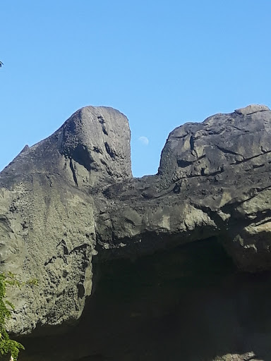 Zoo «Zoo Miami», reviews and photos, 12400 SW 152nd St, Miami, FL 33177, USA