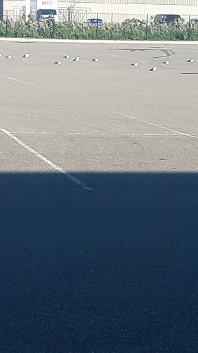 Movie Theater «MJR Troy Grand Digital Cinema 16», reviews and photos, 100 E Maple Rd, Troy, MI 48083, USA