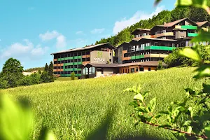 natura Hotel Bodenmais image
