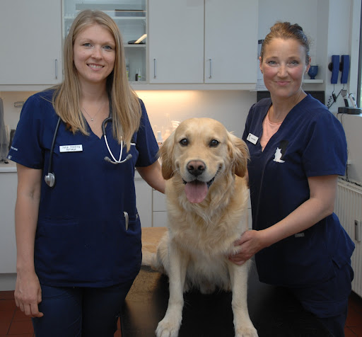 Nybrovej Dyreklinik v/Louise Peick Bendix & Julie Vinding in Lyngby, Lyngby-Taarbæk