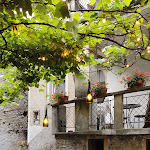 Photo n°1 de l'avis de Emma.r fait le 17/06/2021 à 06:05 sur le  Semi di grano à Gittana