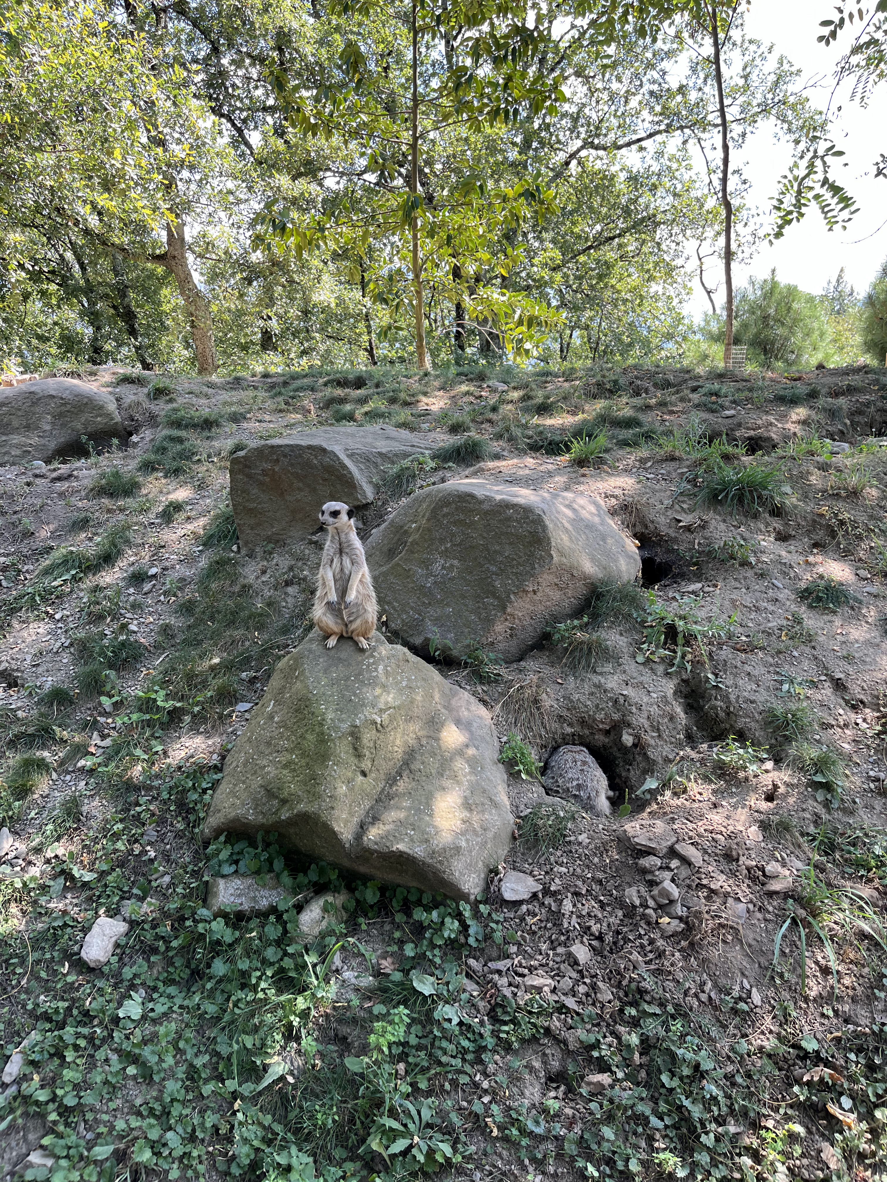 Photo n° 2 de l'avis de Gianni.O fait le 27/08/2023 à 17:38