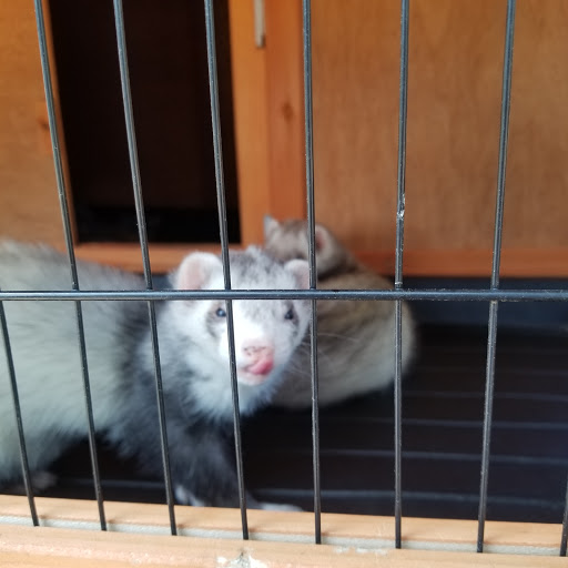 Wildlife Park «Colorado Wolf and Wildlife Center», reviews and photos, 4729 Twin Rocks Rd, Divide, CO 80814, USA