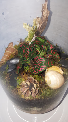 Florist «Shananne Cain Florist Inc», reviews and photos, 123 N Central Ave, Umatilla, FL 32784, USA