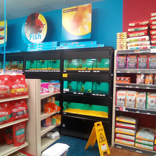 Pet Store «Pet Supermarket, Inc.», reviews and photos, 1938 FL-44 #40, New Smyrna Beach, FL 32168, USA