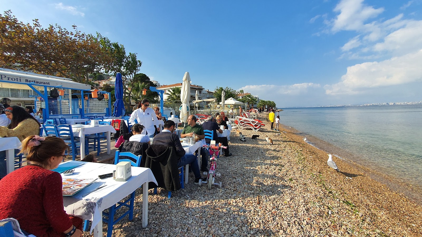Yali Sezar Beach'in fotoğrafı çok temiz temizlik seviyesi ile
