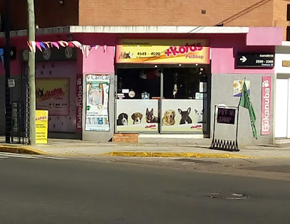 +Kotas Pet Shop