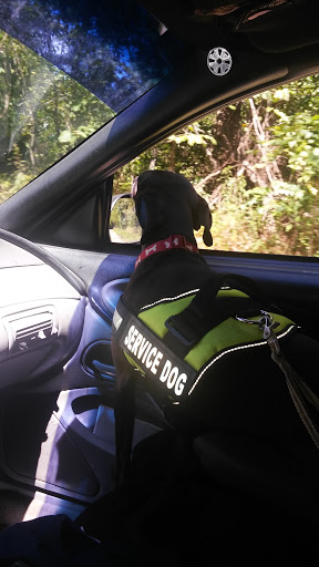 Discount Store «Dollar General», reviews and photos, 620 Owenton Rd, Corinth, KY 41010, USA