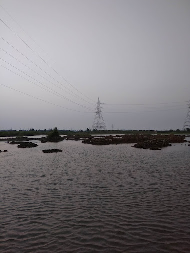 Google Maps image 15