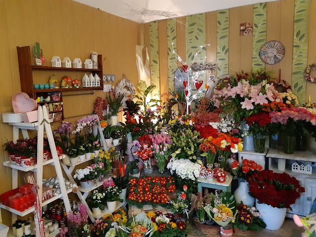 Értékelések erről a helyről: Szeép Virág-Ajándék kereskedés, Mány - Virágárus