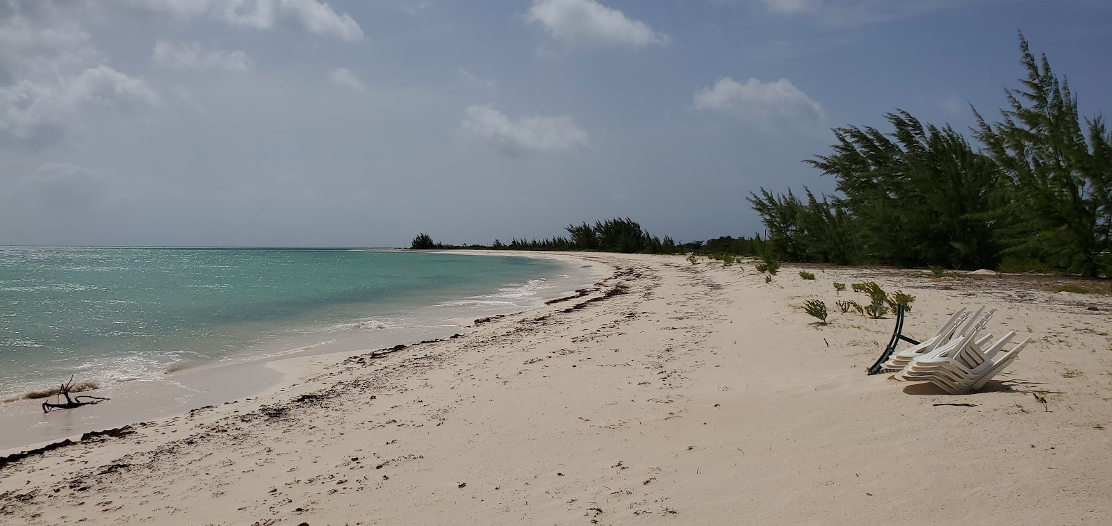 Fotografie cu Pomato Point beach zonele de facilități