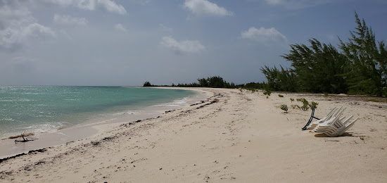 Pomato Point beach