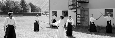 Académie Vifoise d'Aikido à Vif