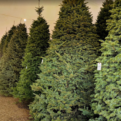 Valley View Christmas Trees