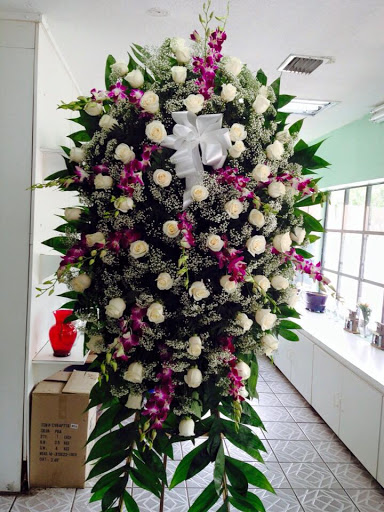 Florist «Primavera Florist Pedro», reviews and photos, 5510 W Flagler St, Coral Gables, FL 33134, USA