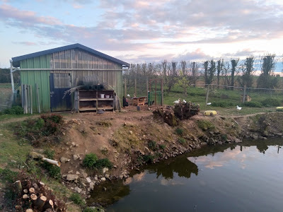 Le Haumerand (Gite) à Entrammes
