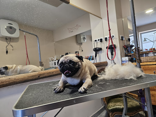 Hundefriseur Deutschlandsberg In Deutschlandsberg
