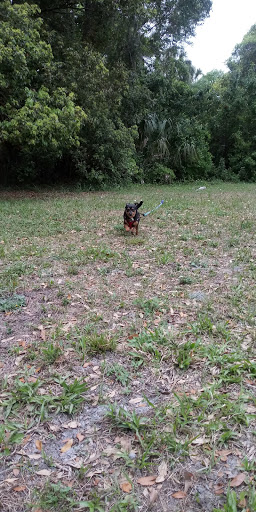 Park «Henry & Ola Park», reviews and photos, 502 W Henry Ave, Tampa, FL 33604, USA