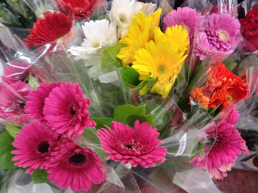 Shopping Mall «Bond Shopping Center», reviews and photos, 1891 S State Rd, Upper Darby, PA 19082, USA