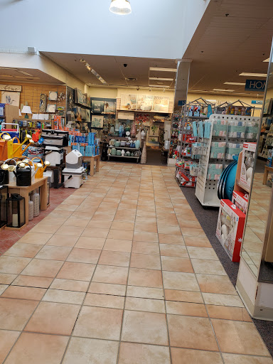Department Store «Bealls Department Stores», reviews and photos, 2612 Enterprise Rd, Orange City, FL 32763, USA