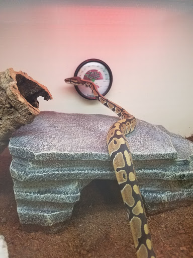 Pet Supply Store «Pet Supplies Plus», reviews and photos, 375 Paterson Ave #105, Wallington, NJ 07057, USA