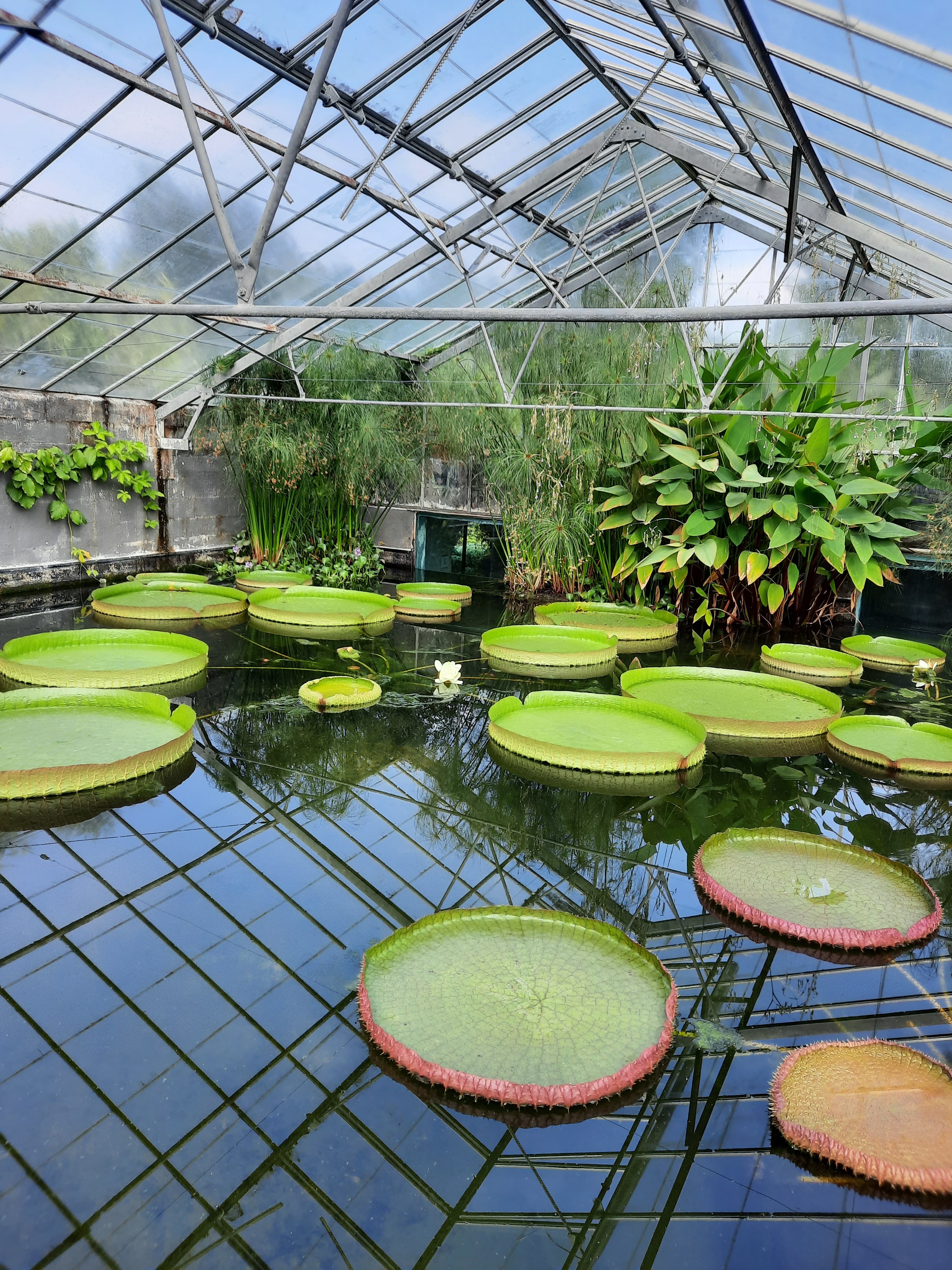 Photo n° 1 de l'avis de Lexis.. fait le 06/09/2022 à 16:22