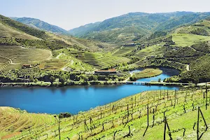 Douro Valley Wine Tours image