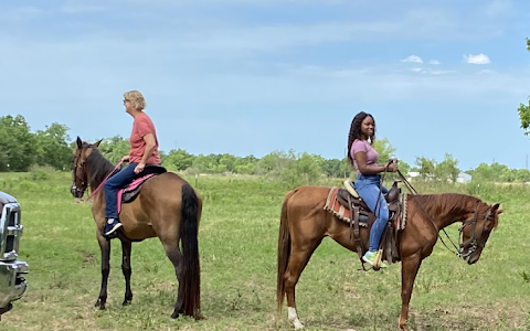 A Place for Dreamers Horseback Ride & Trail Ride image