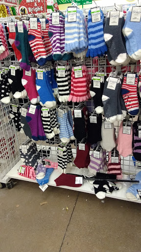 Dollar Store «Dollar Tree», reviews and photos, 713 E Main St, Brownsburg, IN 46112, USA