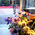 Photo n°3 de l'avis de Biliana.o fait le 29/05/2018 à 15:11 sur le  Il Baretto à Moltrasio