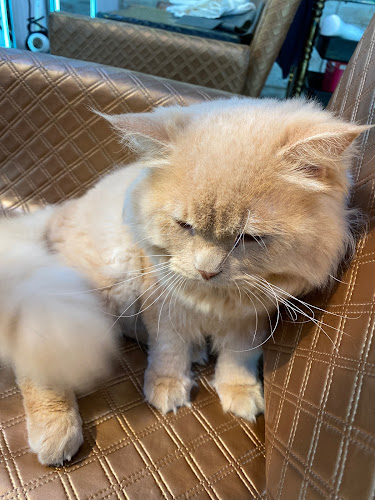 Woodlands Drive 73 #01-01 Multi-Storey Carpark blk 691, 730691