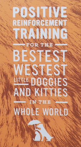 It's Training Cats and Dogs