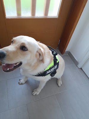 Société Protectrice des Animaux Autonome de Maine et Loire SPA à Angers