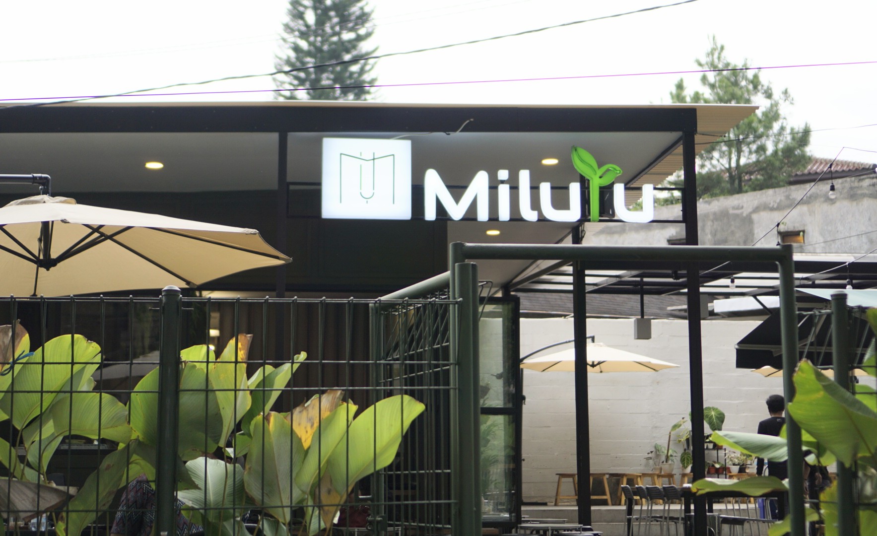 Miluyu Coffee Lounge Photo