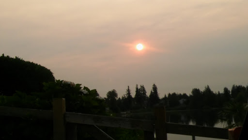 Park «Thornton A. Sullivan Park», reviews and photos, 11405 Silver Lake Rd, Everett, WA 98208, USA