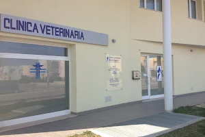 Clinica Veterinaria Niccolò Copernico image