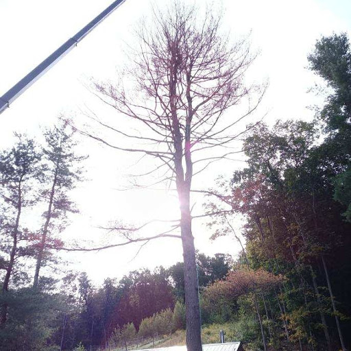 Winery «Bashakill Vineyards», reviews and photos, 1131 S Rd, Wurtsboro, NY 12790, USA