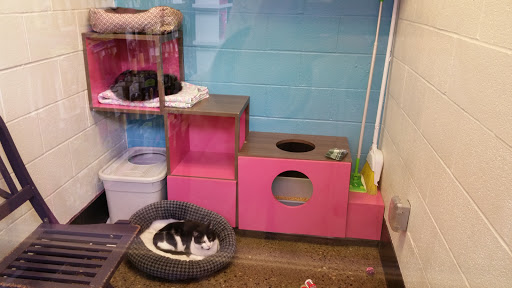 Animal Shelter «One of A Kind Pet Rescue», reviews and photos, 1929 W Market St, Akron, OH 44313, USA