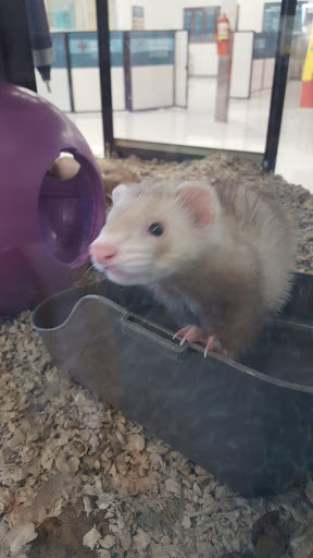 Pet Supply Store «Petco Animal Supplies», reviews and photos, 2230 Marlton Pike W #3, Cherry Hill, NJ 08002, USA