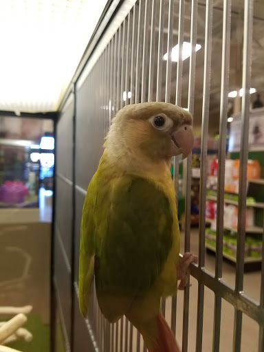 Pet Supply Store «PetSmart», reviews and photos, 7260 Orchard Lake Rd, West Bloomfield Township, MI 48322, USA