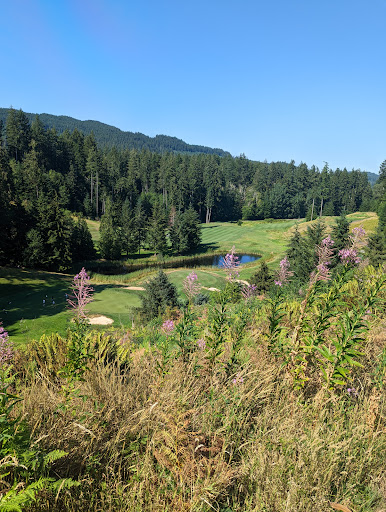 Golf Course «Gold Mountain Golf Club», reviews and photos, 7263 W Belfair Valley Rd, Bremerton, WA 98310, USA