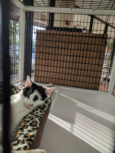 Pet Supply Store «Pet Supermarket», reviews and photos, 268 Grande Heights Dr, Cary, NC 27513, USA