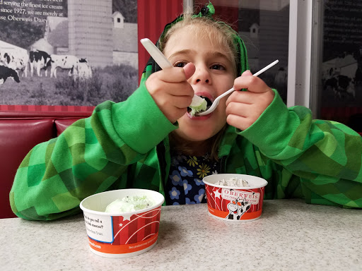 Ice Cream Shop «Oberweis Dairy», reviews and photos, 101 S Northwest Hwy, Park Ridge, IL 60068, USA