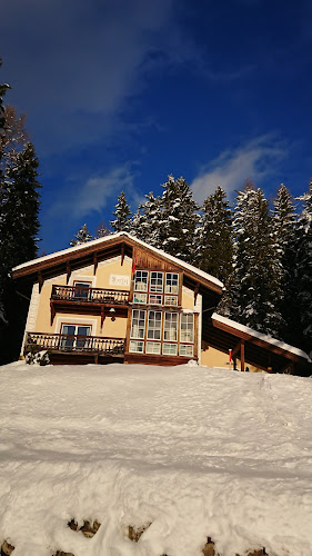 Kommentare und Rezensionen über Villa Surlej Davos